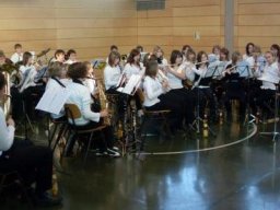 freemelodies_konzert