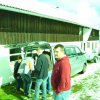 FREEMelodies 2011