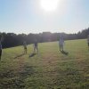 FREEMelodies 2012