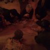 Fasching 2017