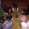 Fasching 2017