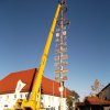 Maibaum 2012