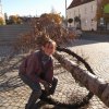 Maibaum 2012