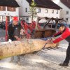 Maibaum 2012