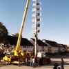 Maibaum 2012