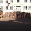 Maibaum 2012