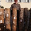 Maibaum 2012