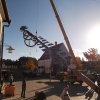 Maibaum 2012