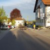 Maibaum 2018