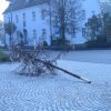 Maibaum 2018