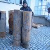 Maibaum 2018