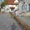 Maibaum 2018