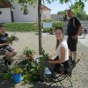 Maibaum 2018