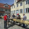 Maibaum 2018