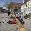 Maibaum 2018