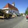 Maibaum 2018