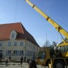 Maibaum 2018