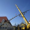 Maibaum 2018