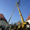 Maibaum 2018