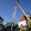 Maibaum 2018