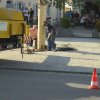 Maibaum 2018