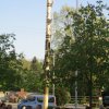 Maibaum 2018
