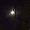 Maibaum 2018