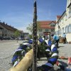 Maibaum 2018