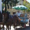 Schlossfest 2016