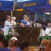 Schlossfest 2016