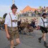 Viehscheid 2014