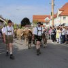 Viehscheid 2014