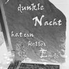 Konzert Seppi