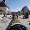 Maibaum 2012 II