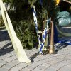 Maibaum 2012 II