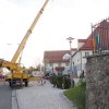 Maibaum 2012 II