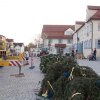 Maibaum 2012 II