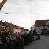Maibaum 2012 II