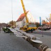 Maibaum 2012 II