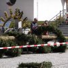 Maibaum 2012 II