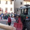 Maibaum 2012 II