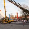 Maibaum 2012 II