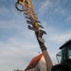 Maibaum 2012 II