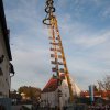 Maibaum 2012 II