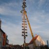 Maibaum 2012 II