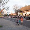 Maibaum 2012 II