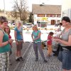 Maibaum 2012 II
