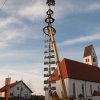 Maibaum 2012 II