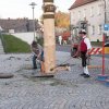 Maibaum 2012 II