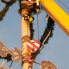 Maibaum 2012 II